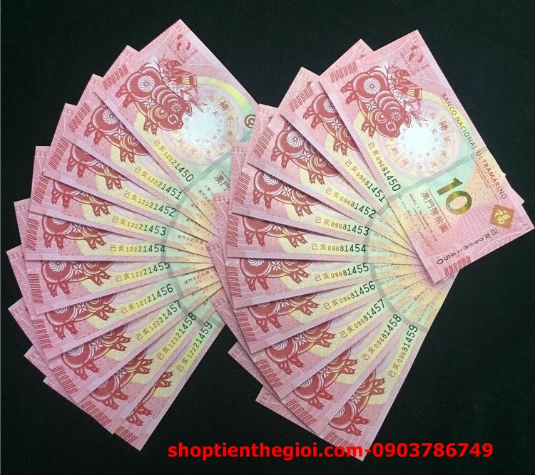 Tiền con heo 10 dola macao patacas